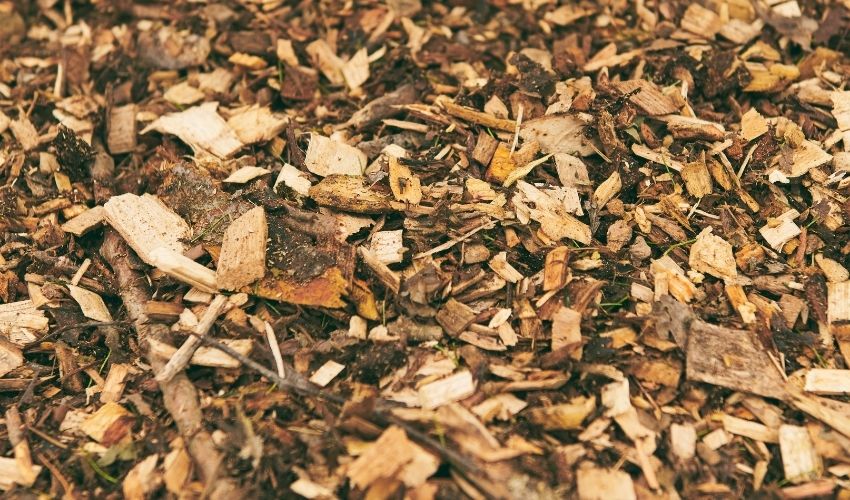 Top 10 Reasons to Choose Wood Chips Over Other Types of Mulch - Leaf & Limb