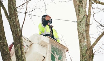 Independent Tree installing cables in a dormant tree in Cuyahoga County, OH.