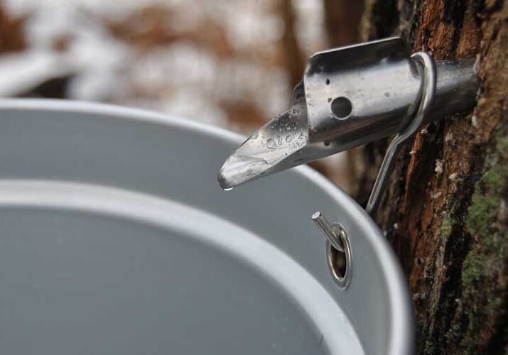 maple syrup production northeast ohio