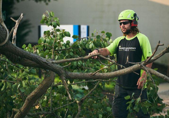 A section of a tree being removed by Independent Tree in Ohio