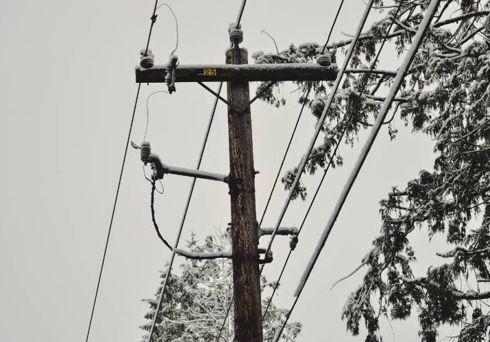 Snow-covered tree branches encroach on power lines on a gray, cloudy day.