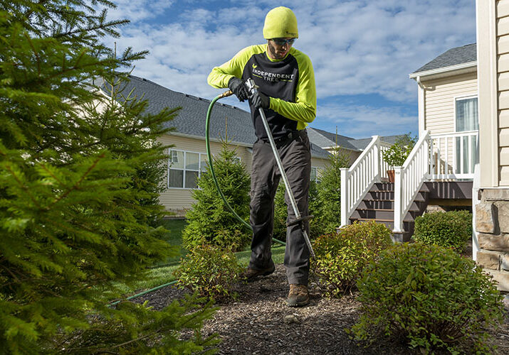 Independent Tree employee applying deep root fertilization to shrubs