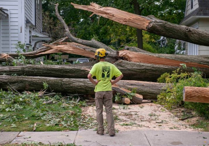 Emergency tree removal for independent Tree crew.