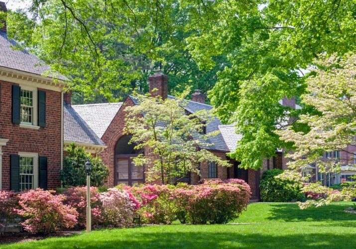 A diverse grouping of trees in a residential landscape, showcasing their unique beauty and creating curb appeal in NE Ohio.