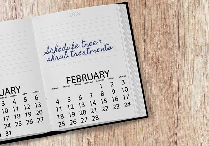 schedule plant health care in february