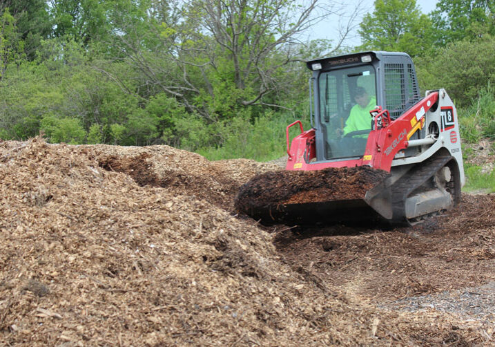 mulch wood chips